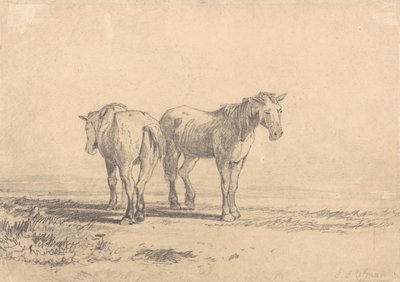 Deux vieux chevaux debout dans un champ - John Sell Cotman